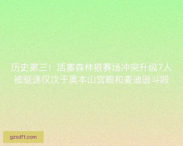 历史第三！活塞森林狼赛场冲突升级7人被驱逐仅次于奥本山宫殿和麦迪逊斗殴